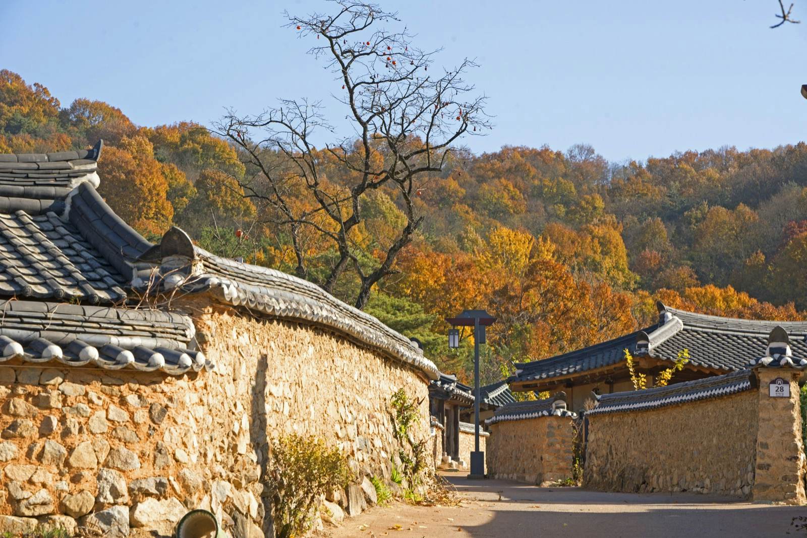 https://mdw-travel-data-us-east-1.s3.amazonaws.com/img/country/South-Korea/Gyeongsangbuk-do-Arboretum/img_01.jpg