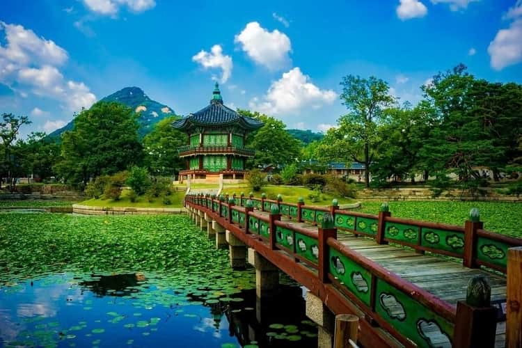 https://mdw-travel-data-us-east-1.s3.amazonaws.com/img/country/South-Korea/Gyeongsanggamyeong-Park/img_01.jpg