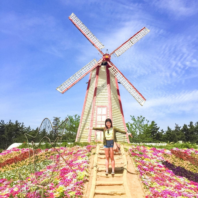 https://mdw-travel-data-us-east-1.s3.amazonaws.com/img/country/South-Korea/Haenam-Tulip-Festival/img_02.jpg