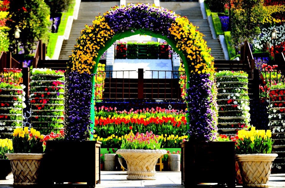 https://mdw-travel-data-us-east-1.s3.amazonaws.com/img/country/South-Korea/Haenam-Tulip-Festival/img_03.jpg