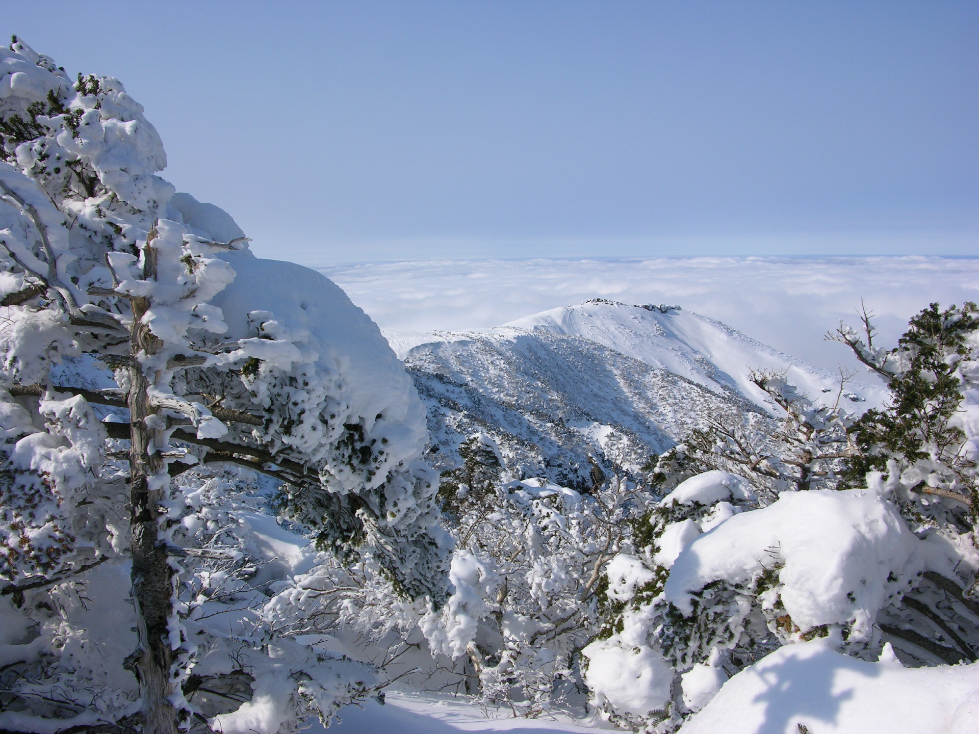 https://mdw-travel-data-us-east-1.s3.amazonaws.com/img/country/South-Korea/Hallasan-National-Park/img_04.jpg