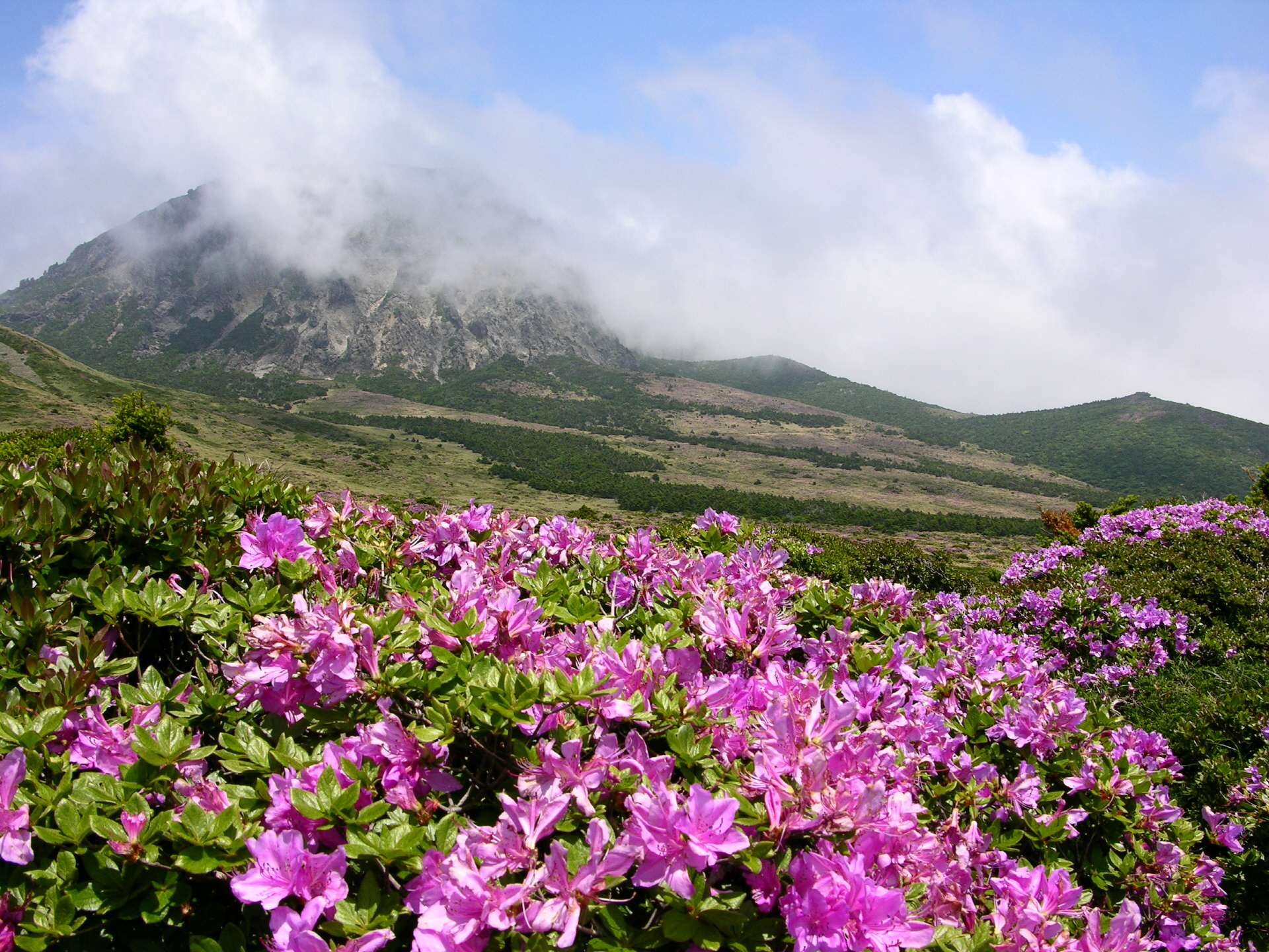 https://mdw-travel-data-us-east-1.s3.amazonaws.com/img/country/South-Korea/Hallasan-National-Park/img_05.jpg