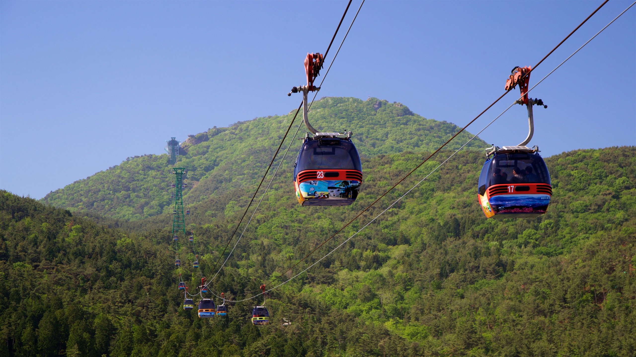 https://mdw-travel-data-us-east-1.s3.amazonaws.com/img/country/South-Korea/Hallyeo-Waterway-Observation-Cable-Car/img_00.jpg