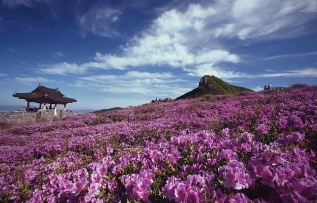 https://mdw-travel-data-us-east-1.s3.amazonaws.com/img/country/South-Korea/Hwangmae-Mountain-Sanjeok-Museum/img_03.jpg