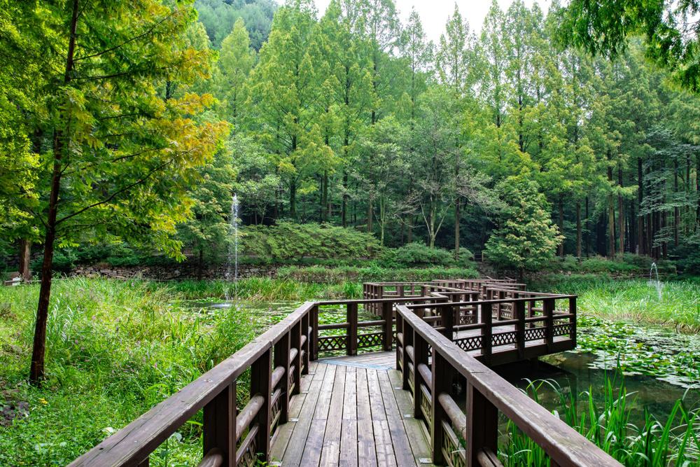 https://mdw-travel-data-us-east-1.s3.amazonaws.com/img/country/South-Korea/Hwawon-Recreational-Forest/img_02.jpg