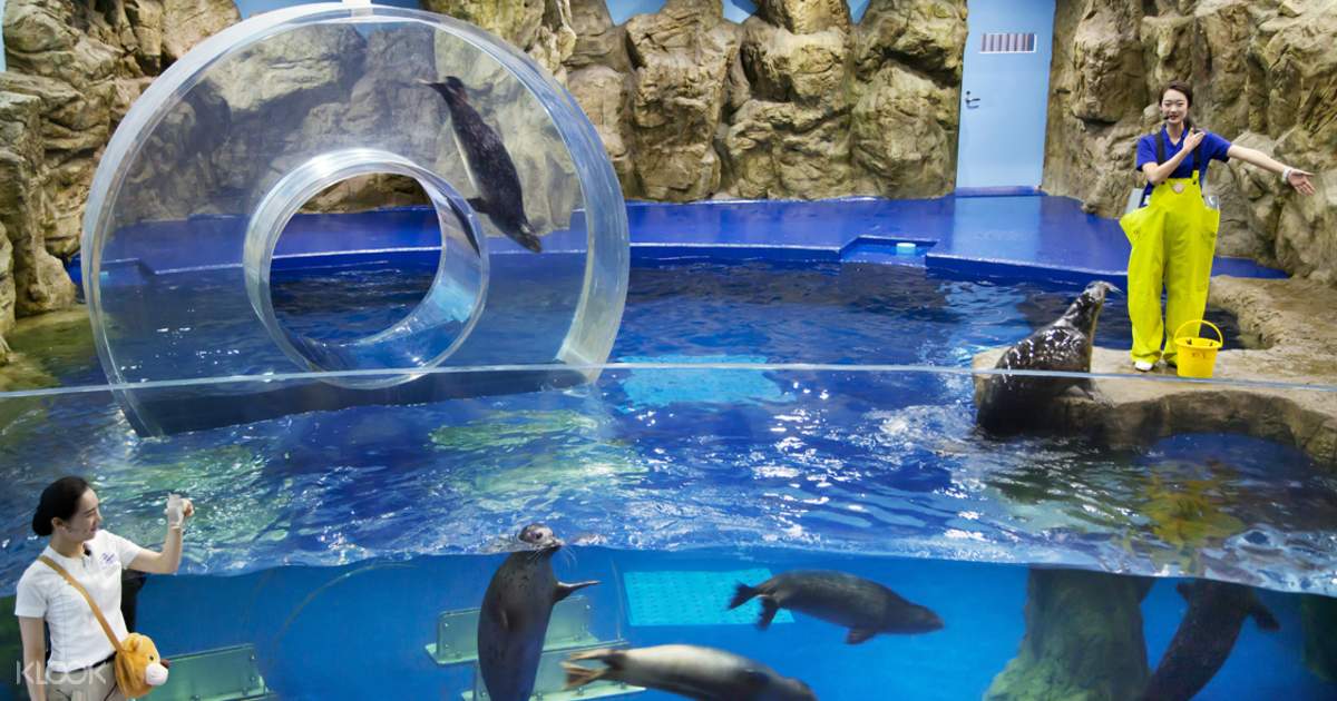 https://mdw-travel-data-us-east-1.s3.amazonaws.com/img/country/South-Korea/Ilsan-Hanwha-Aqua-Planet/img_01.jpg