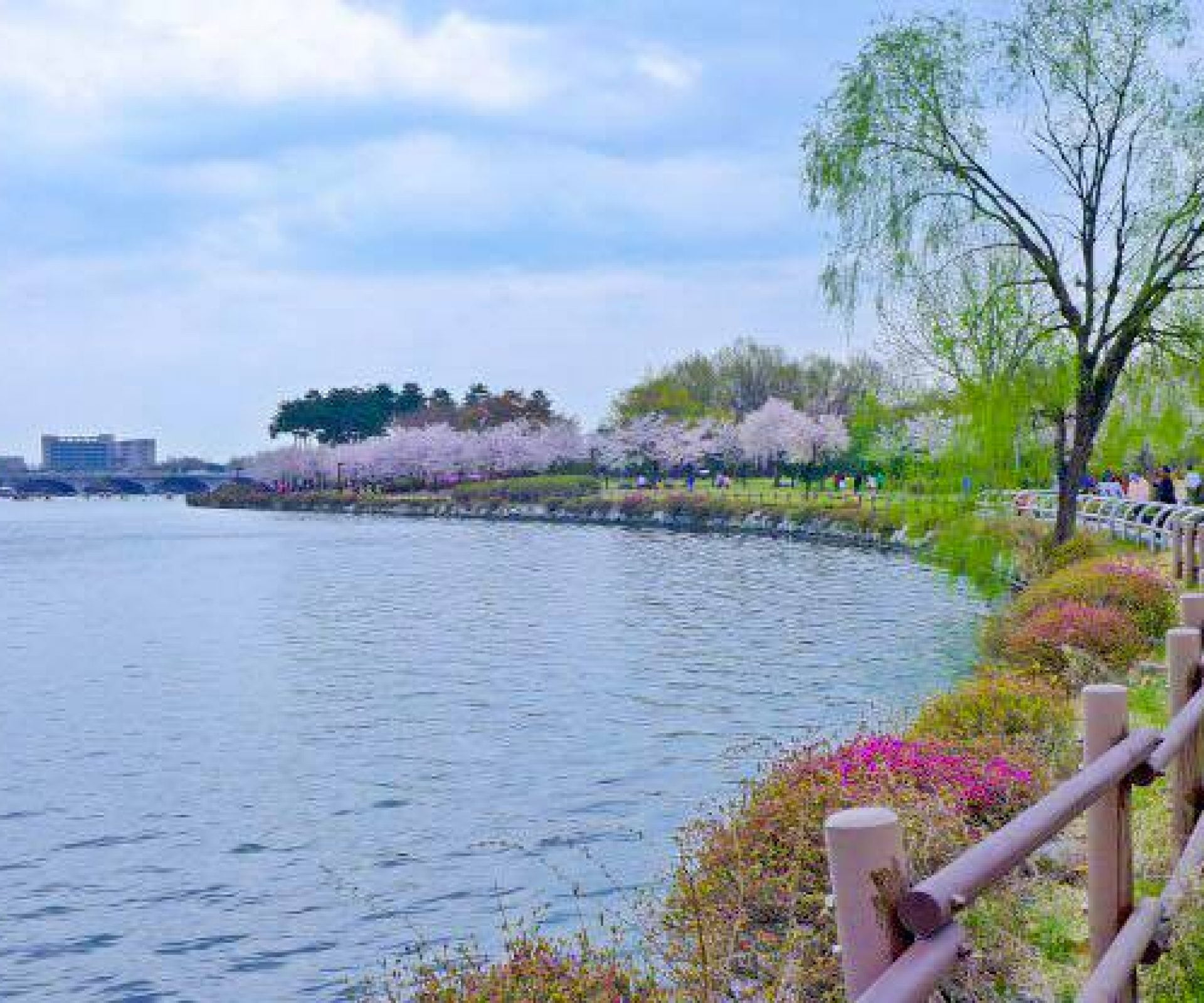 https://mdw-travel-data-us-east-1.s3.amazonaws.com/img/country/South-Korea/Ilsan-Lake-Park/img_03.jpg
