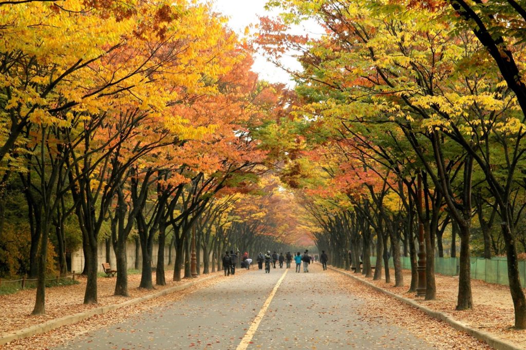 https://mdw-travel-data-us-east-1.s3.amazonaws.com/img/country/South-Korea/Incheon-Grand-Park/img_02.jpg