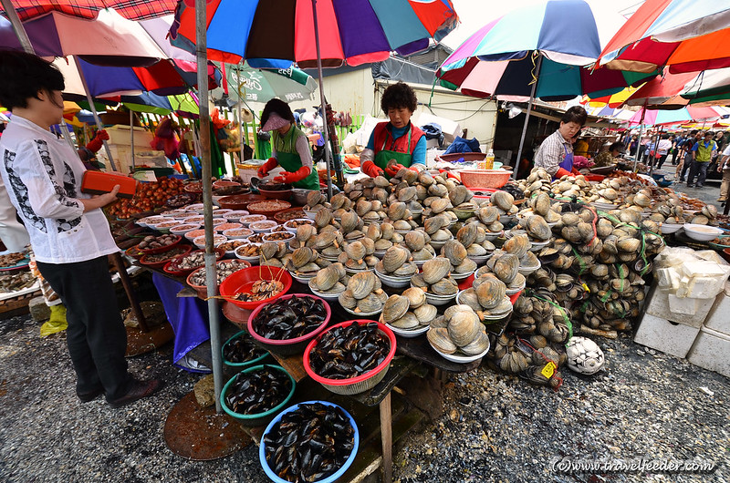 https://mdw-travel-data-us-east-1.s3.amazonaws.com/img/country/South-Korea/Jagalchi-Market/img_00.jpg