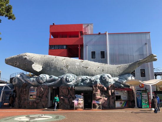 https://mdw-travel-data-us-east-1.s3.amazonaws.com/img/country/South-Korea/Jangsaengpo-Whale-Museum/img_01.jpg