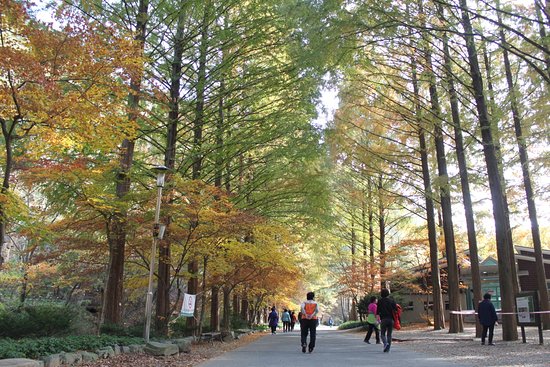 https://mdw-travel-data-us-east-1.s3.amazonaws.com/img/country/South-Korea/Jangtaesan-Ecological-Park/img_03.jpg