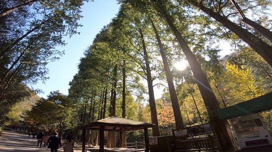 https://mdw-travel-data-us-east-1.s3.amazonaws.com/img/country/South-Korea/Jangtaesan-Natural-Recreation-Forest/img_01.jpg