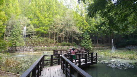 https://mdw-travel-data-us-east-1.s3.amazonaws.com/img/country/South-Korea/Jangtaesan-Natural-Recreation-Forest/img_02.jpg
