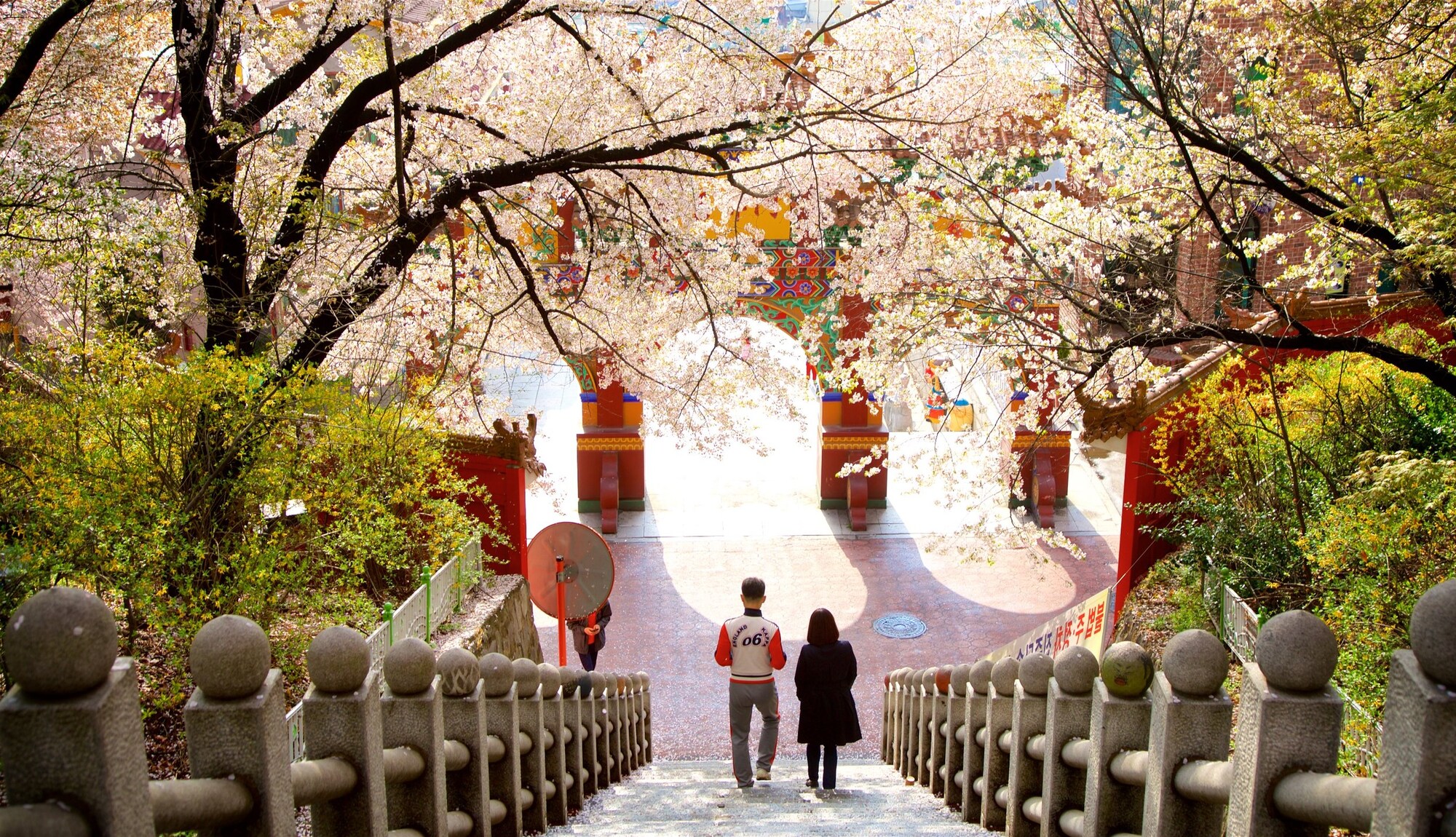 https://mdw-travel-data-us-east-1.s3.amazonaws.com/img/country/South-Korea/Jayu-Park/img_01.jpg
