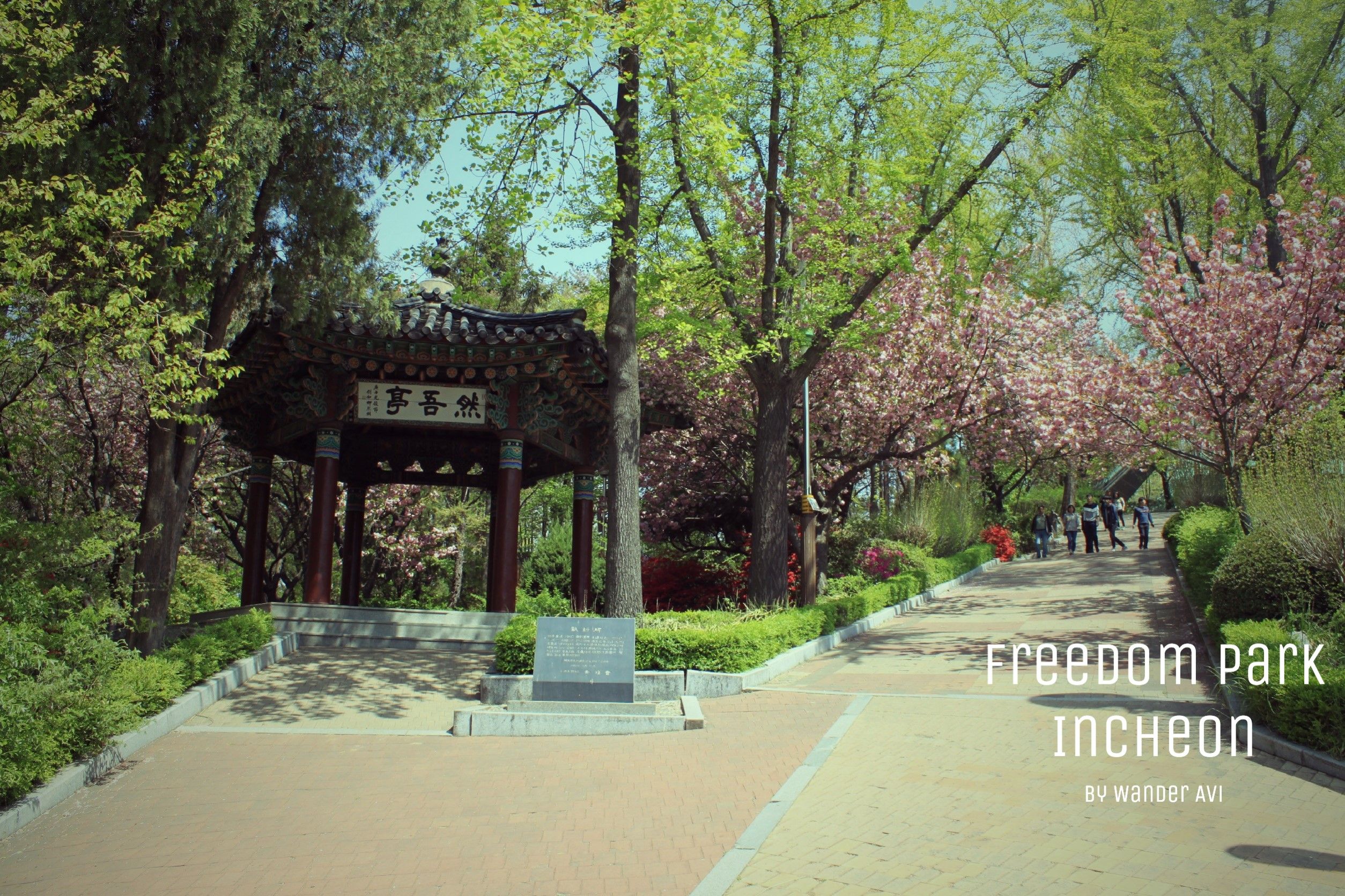 https://mdw-travel-data-us-east-1.s3.amazonaws.com/img/country/South-Korea/Jayu-Park/img_02.jpg
