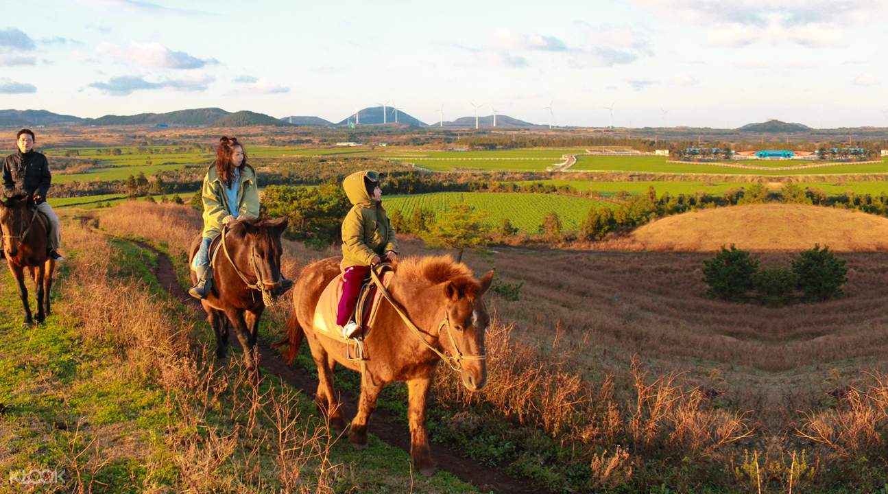 https://mdw-travel-data-us-east-1.s3.amazonaws.com/img/country/South-Korea/Jeju-Island-Horse-Riding-Park/img_01.jpg