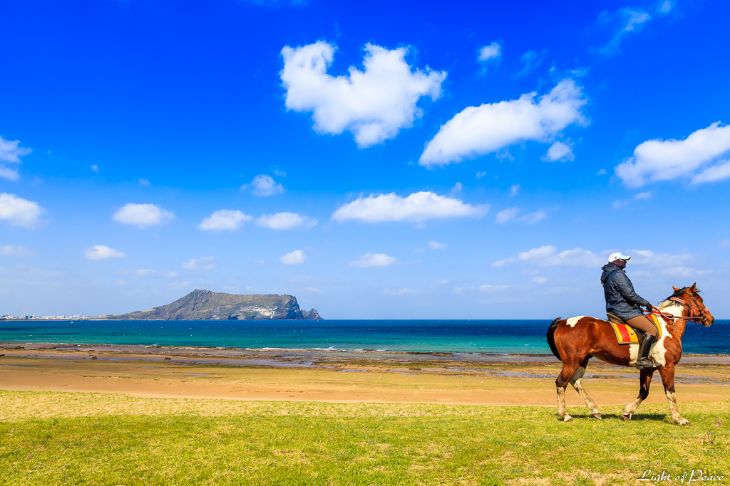 https://mdw-travel-data-us-east-1.s3.amazonaws.com/img/country/South-Korea/Jeju-Island-Horse-Riding-Park/img_02.jpg