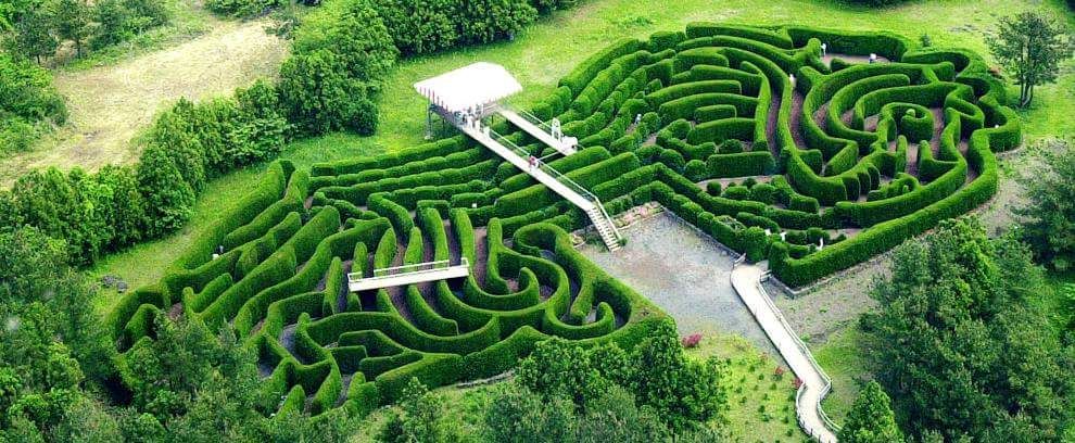 https://mdw-travel-data-us-east-1.s3.amazonaws.com/img/country/South-Korea/Jeju-Kimnyoung-Maze-Park/img_01.jpg