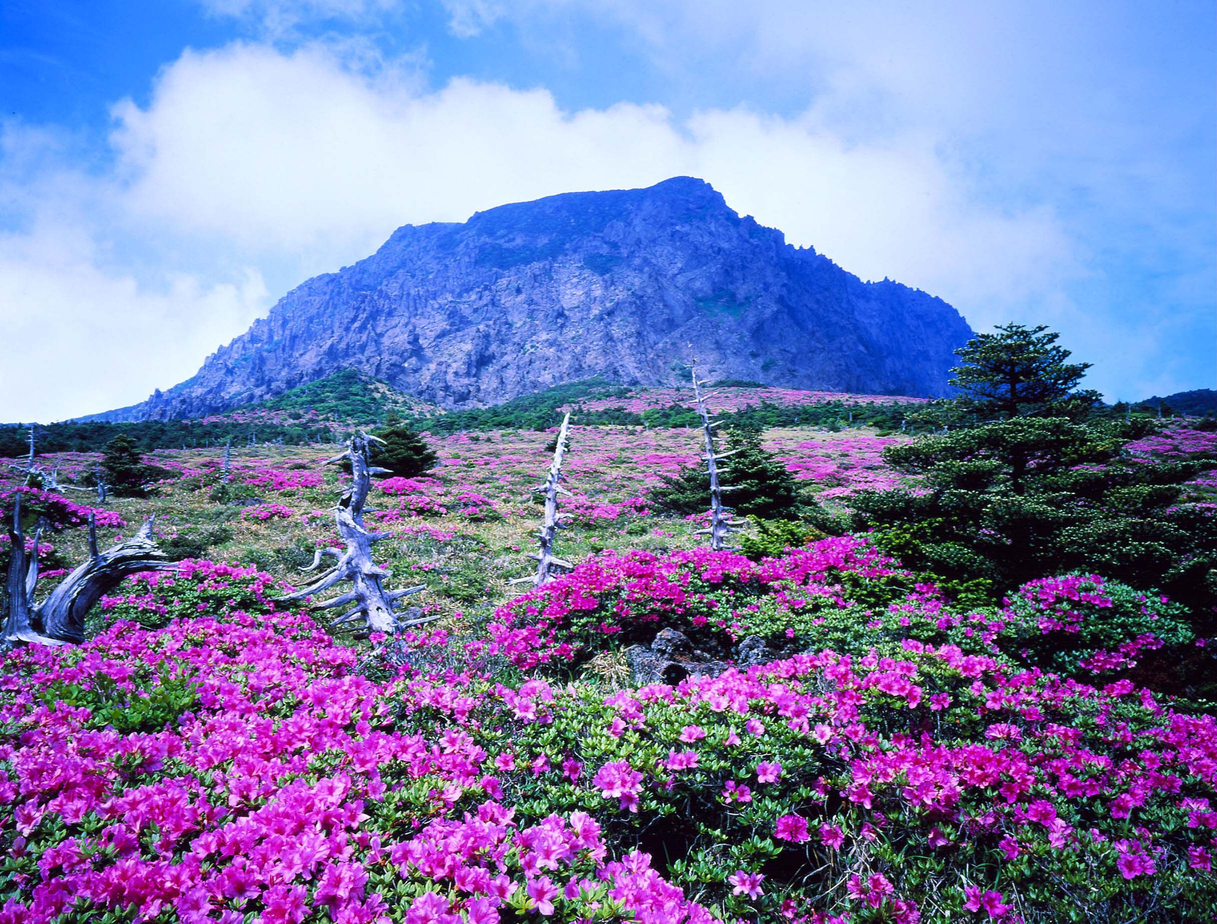 https://mdw-travel-data-us-east-1.s3.amazonaws.com/img/country/South-Korea/Jeju-Shinhwa-World/img_02.jpg