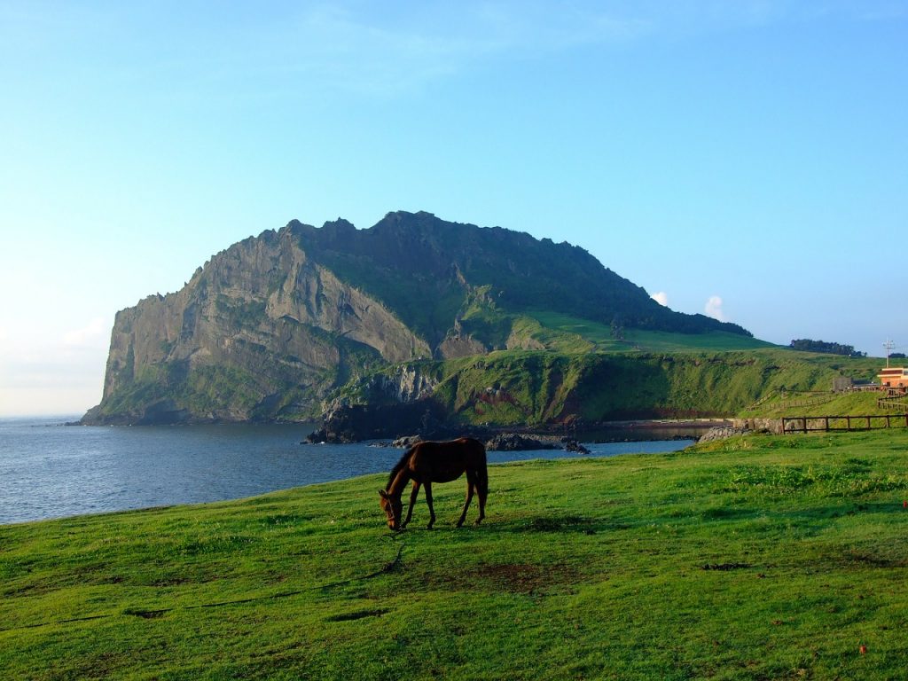 https://mdw-travel-data-us-east-1.s3.amazonaws.com/img/country/South-Korea/Jeju-Shinhwa-World/img_03.jpg