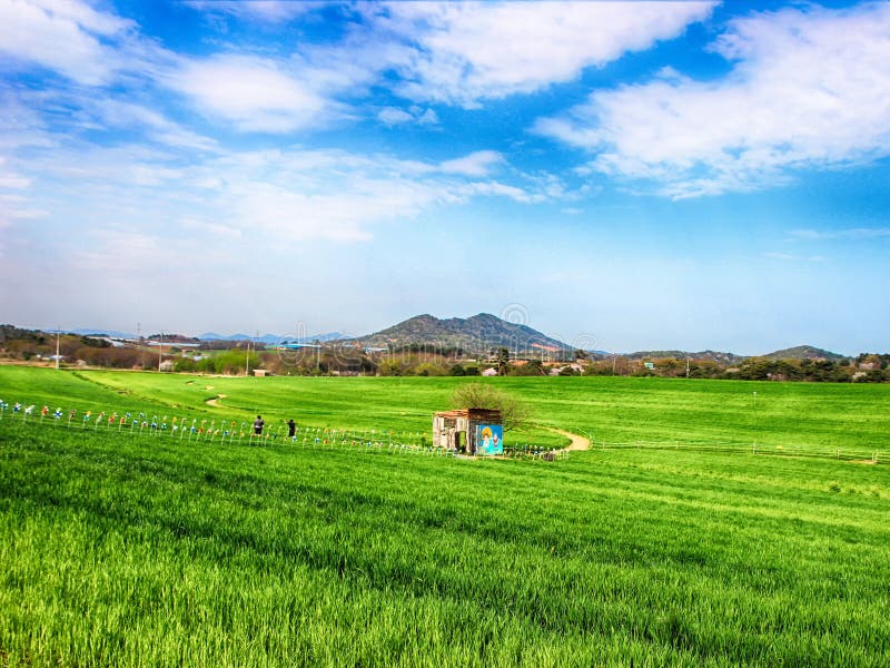 https://mdw-travel-data-us-east-1.s3.amazonaws.com/img/country/South-Korea/Jeongeup-Green-Barley-Field/img_03.jpg