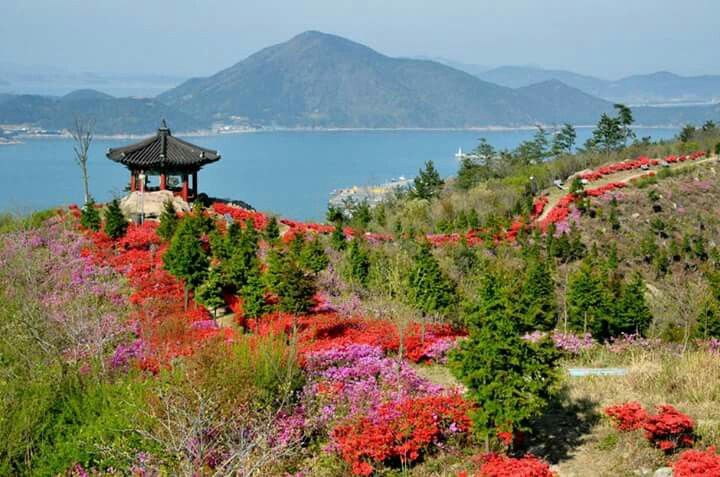 https://mdw-travel-data-us-east-1.s3.amazonaws.com/img/country/South-Korea/Jeongja-Beach/img_00.jpg