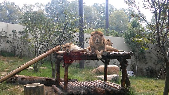 https://mdw-travel-data-us-east-1.s3.amazonaws.com/img/country/South-Korea/Jeonju-Zoo-Botanic-Garden/img_01.jpg