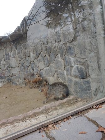 https://mdw-travel-data-us-east-1.s3.amazonaws.com/img/country/South-Korea/Jeonju-Zoo-Botanic-Garden/img_02.jpg