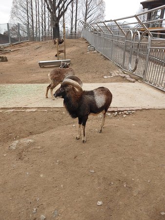 https://mdw-travel-data-us-east-1.s3.amazonaws.com/img/country/South-Korea/Jeonju-Zoo/img_00.jpg