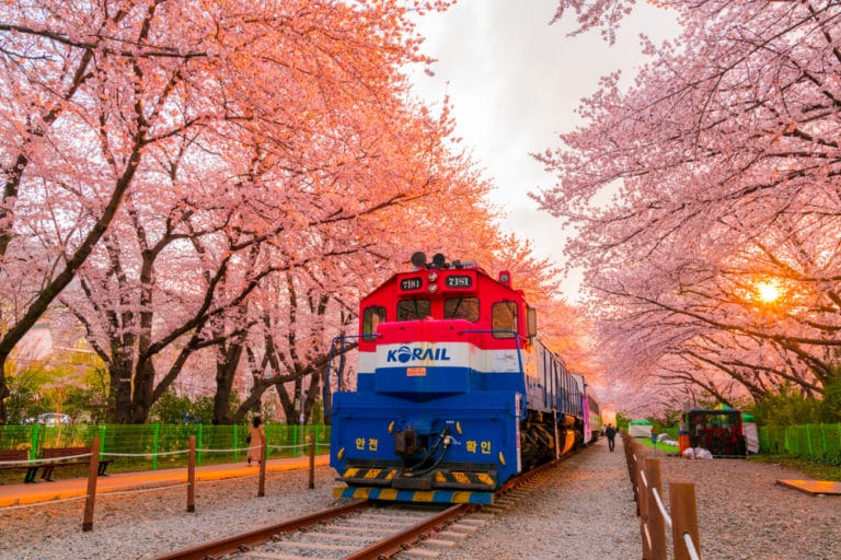 https://mdw-travel-data-us-east-1.s3.amazonaws.com/img/country/South-Korea/Jinhae-Gunhangje-Festival/img_00.jpg