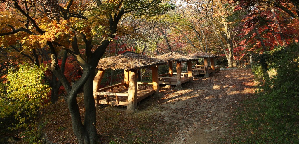 https://mdw-travel-data-us-east-1.s3.amazonaws.com/img/country/South-Korea/Jinwol-Recreation-Forest/img_02.jpg