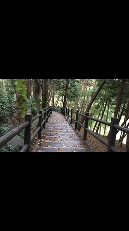 https://mdw-travel-data-us-east-1.s3.amazonaws.com/img/country/South-Korea/Jinyangho-Zoo/img_02.jpg