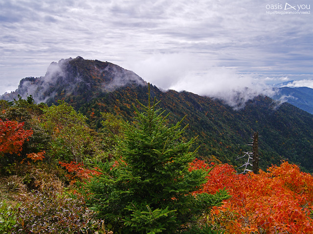https://mdw-travel-data-us-east-1.s3.amazonaws.com/img/country/South-Korea/Jiri-Mountain-National-Park/img_02.jpg