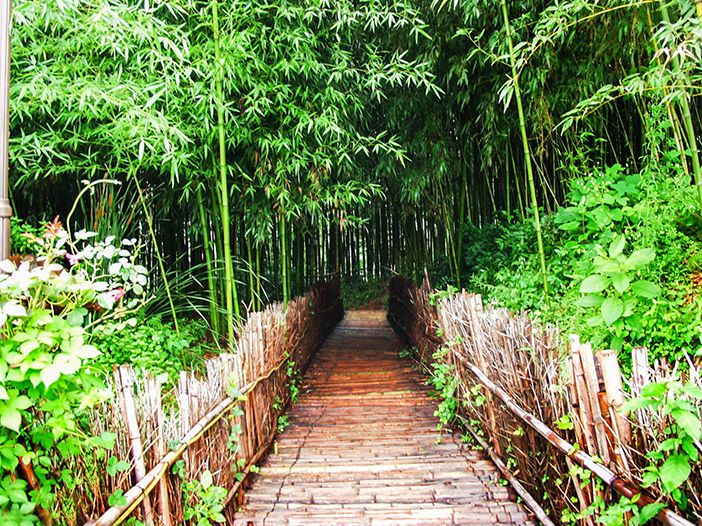 https://mdw-travel-data-us-east-1.s3.amazonaws.com/img/country/South-Korea/Juknokwon-Bamboo-Forest/img_02.jpg