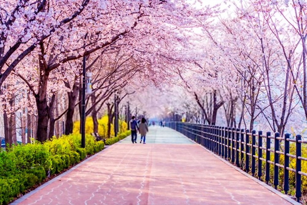 https://mdw-travel-data-us-east-1.s3.amazonaws.com/img/country/South-Korea/Kim-Tae-Yeon-Memorial-Hall/img_02.jpg