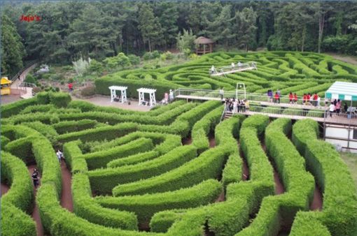 https://mdw-travel-data-us-east-1.s3.amazonaws.com/img/country/South-Korea/Kimnyoung-Maze-Park/img_01.jpg