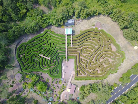 https://mdw-travel-data-us-east-1.s3.amazonaws.com/img/country/South-Korea/Kimnyoung-Maze-Park/img_02.jpg