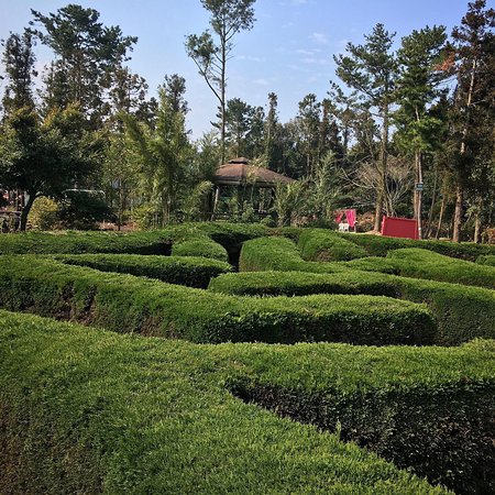 https://mdw-travel-data-us-east-1.s3.amazonaws.com/img/country/South-Korea/Kimnyoung-Maze-Park/img_03.jpg