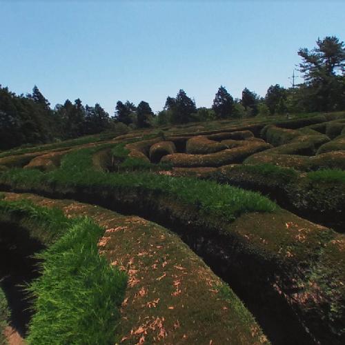 https://mdw-travel-data-us-east-1.s3.amazonaws.com/img/country/South-Korea/Kimnyoung-Maze-Park/img_04.jpg