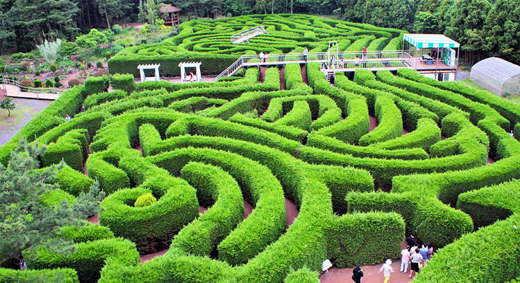 https://mdw-travel-data-us-east-1.s3.amazonaws.com/img/country/South-Korea/Kimnyoung-Maze-Park/img_05.jpg