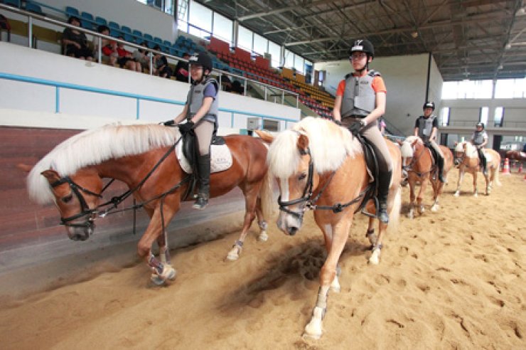 https://mdw-travel-data-us-east-1.s3.amazonaws.com/img/country/South-Korea/Korea-Racing-Authority-Racing-Park/img_02.jpg