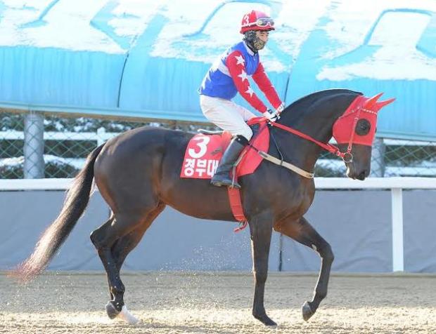 https://mdw-travel-data-us-east-1.s3.amazonaws.com/img/country/South-Korea/Korea-Racing-Authority-Racing-Park/img_03.jpg