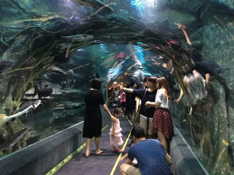 https://mdw-travel-data-us-east-1.s3.amazonaws.com/img/country/South-Korea/Lotte-World-Aquarium/img_02.jpg