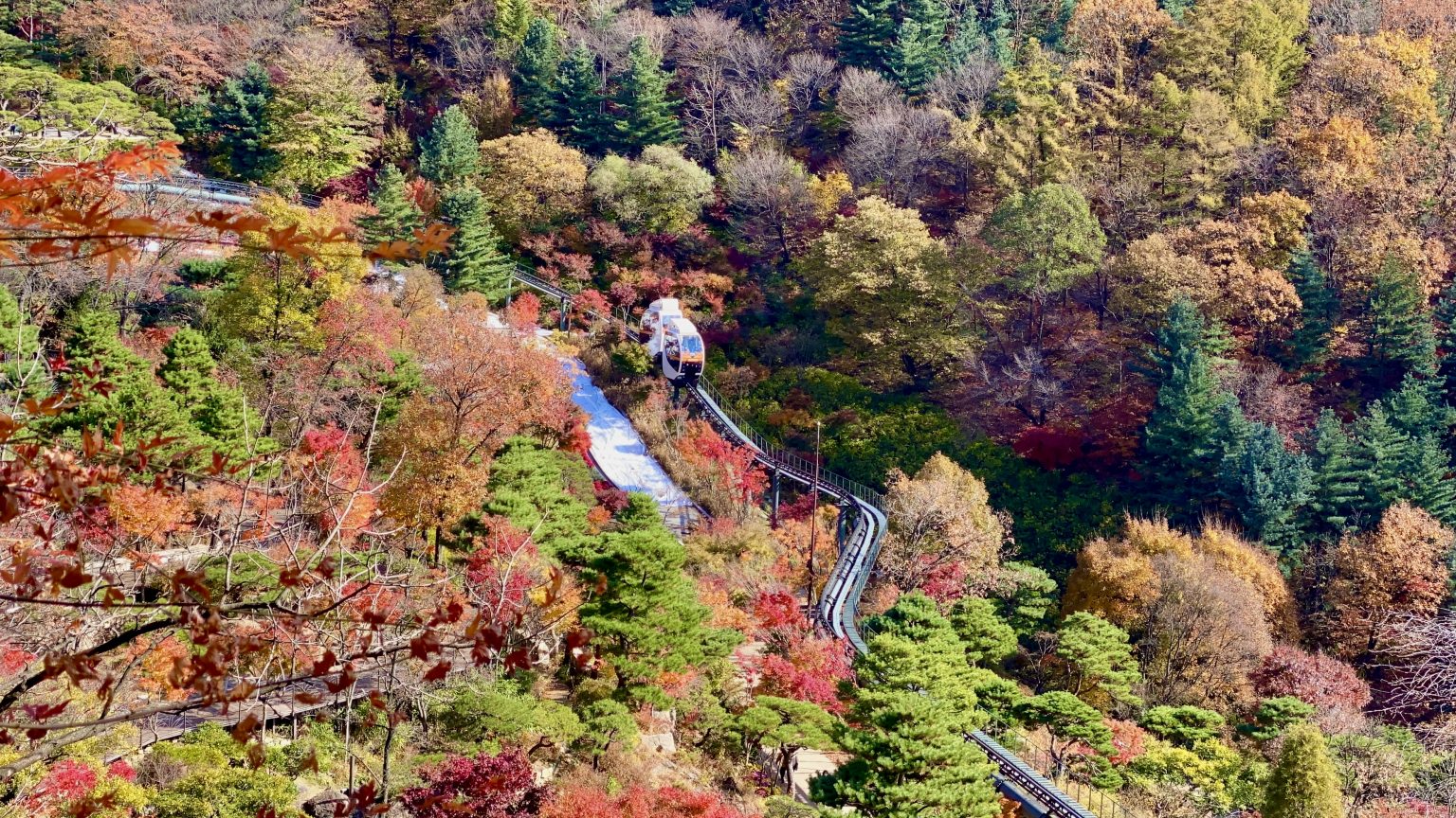 https://mdw-travel-data-us-east-1.s3.amazonaws.com/img/country/South-Korea/Mamma-Mia-Botanic-Garden/img_01.jpg