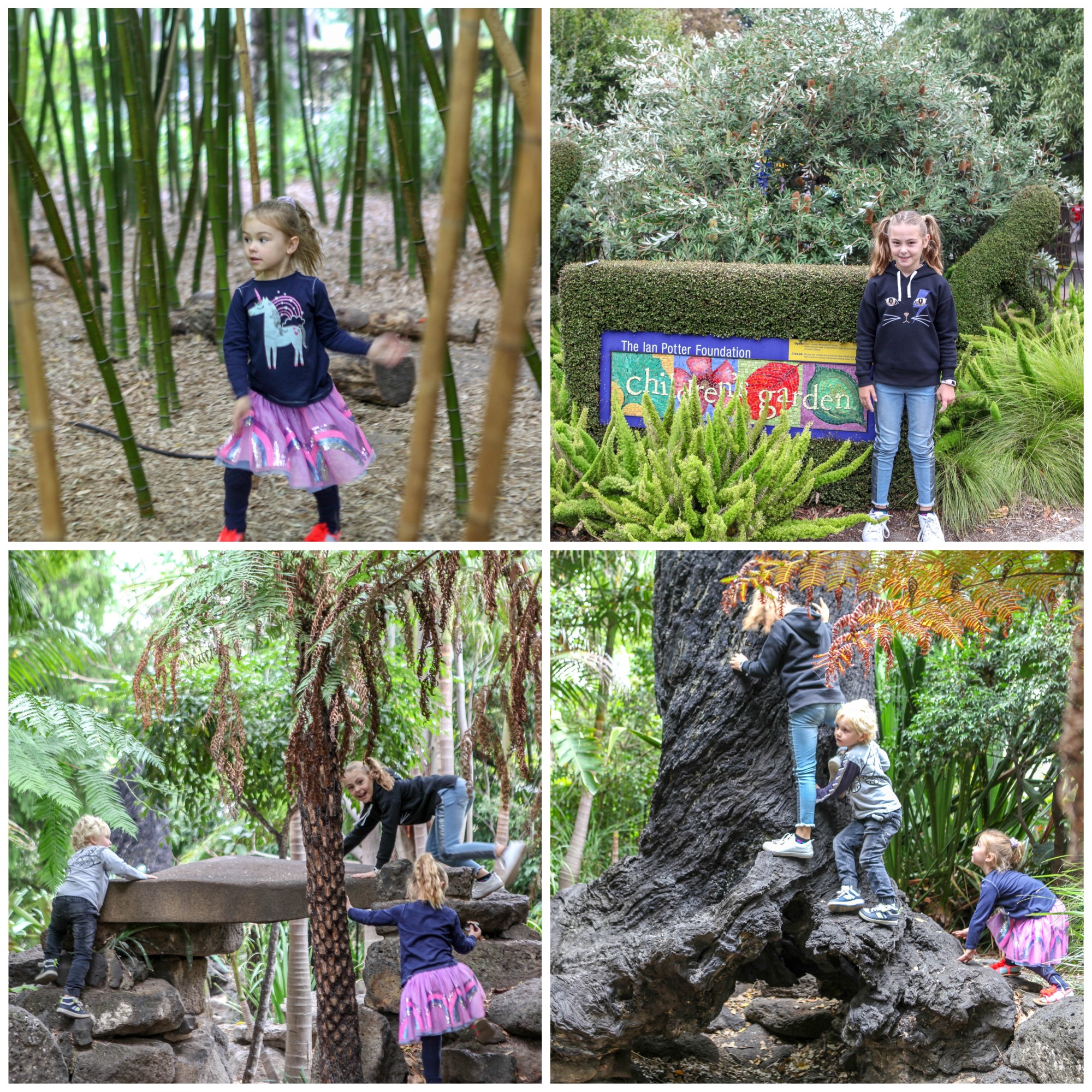 https://mdw-travel-data-us-east-1.s3.amazonaws.com/img/country/South-Korea/Mamma-Mia-Botanic-Garden/img_03.jpg