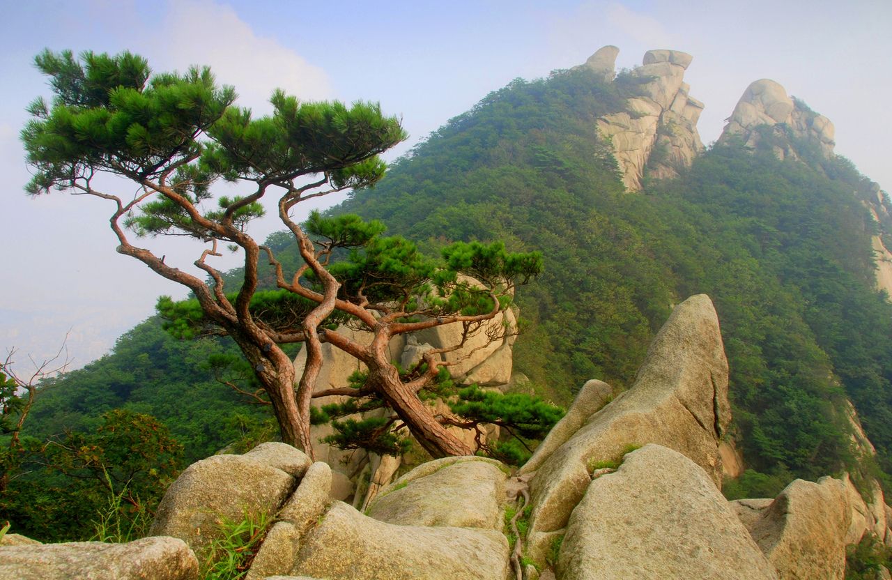 https://mdw-travel-data-us-east-1.s3.amazonaws.com/img/country/South-Korea/Mangyeongdae-Pavilion/img_01.jpg