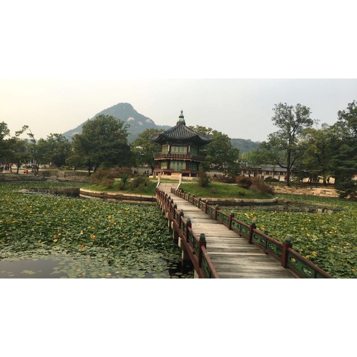 https://mdw-travel-data-us-east-1.s3.amazonaws.com/img/country/South-Korea/Mokayang-Farm/img_01.jpg