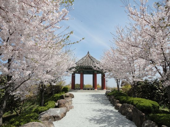 https://mdw-travel-data-us-east-1.s3.amazonaws.com/img/country/South-Korea/Mokpo-Botanical-Garden/img_00.jpg