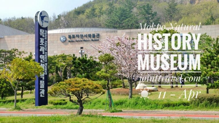 https://mdw-travel-data-us-east-1.s3.amazonaws.com/img/country/South-Korea/Mokpo-Natural-History-Museum/img_01.jpg