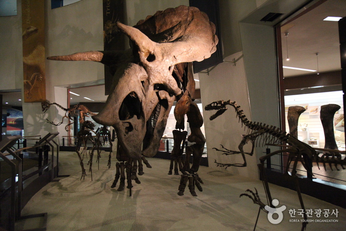 https://mdw-travel-data-us-east-1.s3.amazonaws.com/img/country/South-Korea/Mokpo-Natural-History-Museum/img_02.jpg